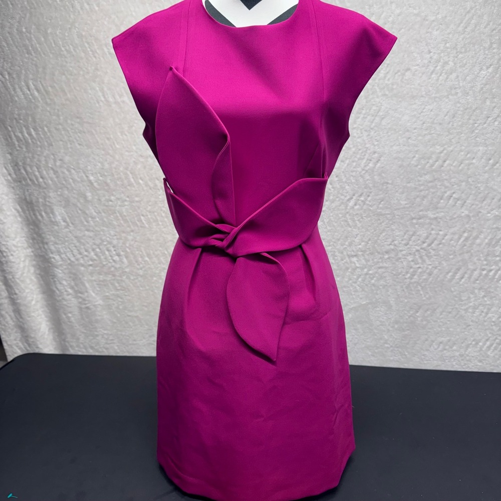 Ted Baker London Vintage Pollyd Deep Pink Bow Detail Shift Dress Size 4 NWT